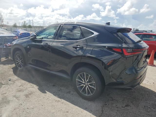 LEXUS NX 250 PRE 2024 black  gas 2T2GDCAZ3RC009145 photo #3