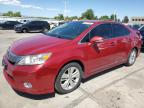 LEXUS HS 250H photo