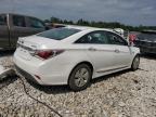 HYUNDAI SONATA HYB photo