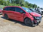 HONDA ODYSSEY SP photo