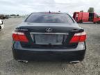 LEXUS LS 460 photo