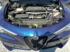 ALFA ROMEO STELVIO SP photo