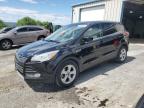 2016 FORD ESCAPE SE - 1FMCU0GX0GUC36036