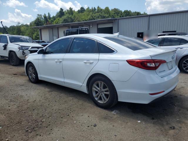 2016 HYUNDAI SONATA SE - 5NPE24AF4GH281260