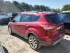 Lot #3034587739 2015 FORD ESCAPE SE