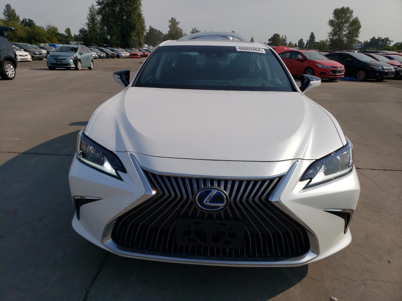 Lot #2893289664 2021 LEXUS ES 300H