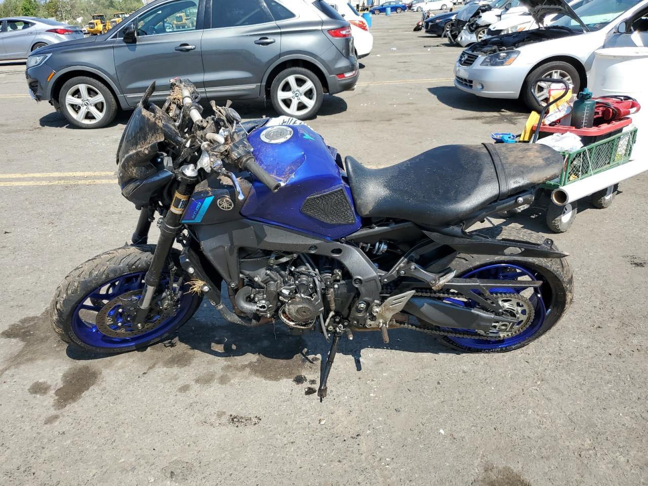 Lot #3049494706 2023 YAMAHA MT09