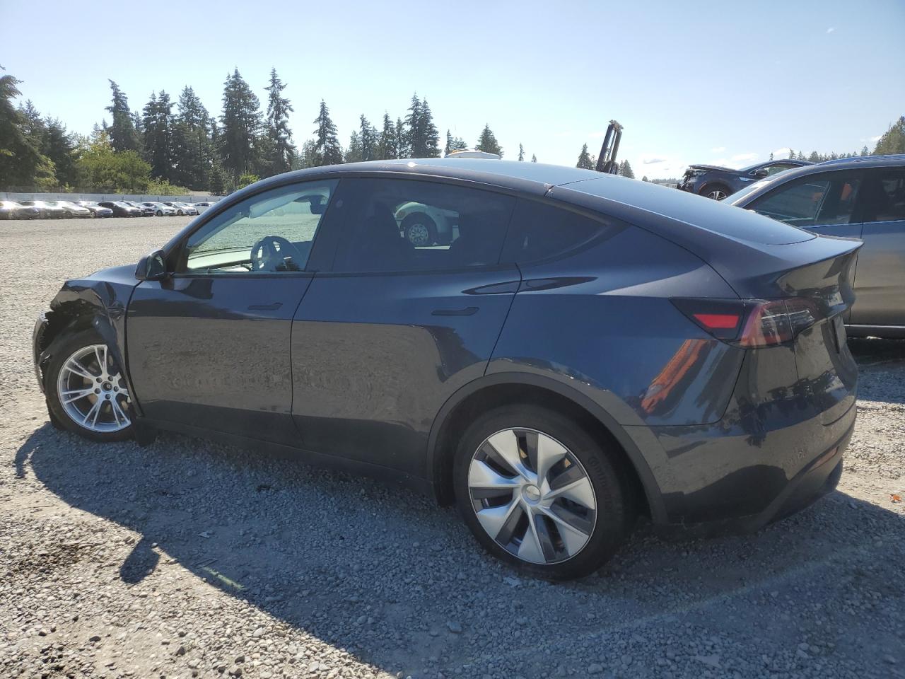 Lot #2986948932 2024 TESLA MODEL Y