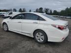 HYUNDAI SONATA HYB photo