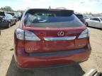 LEXUS RX 350 photo