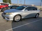 HONDA ACCORD EXL photo