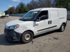 RAM PROMASTER photo