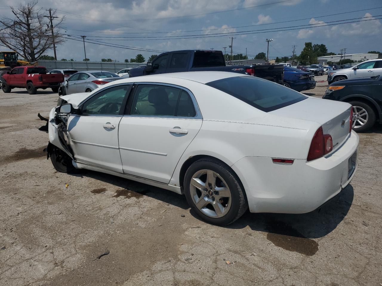 Lot #2766344388 2009 CHEVROLET MALIBU 1LT