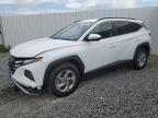2023 HYUNDAI TUCSON SEL - 5NMJBCAE6PH217279