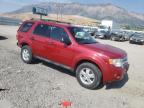 FORD ESCAPE XLT photo