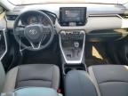 TOYOTA RAV4 XLE P photo