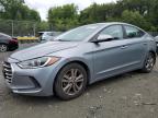 HYUNDAI ELANTRA SE photo