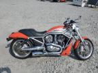 2006 HARLEY-DAVIDSON VRSCR - 1HD1HCZ486K811514