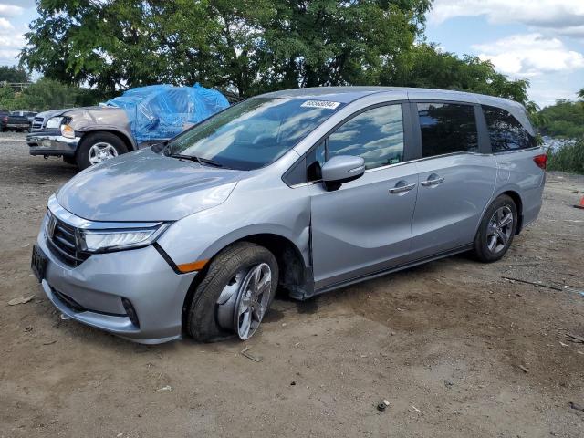 2024 HONDA ODYSSEY EX - 5FNRL6H52RB059034