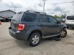 FORD ESCAPE XLT photo