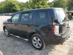 HONDA PILOT EXLN photo