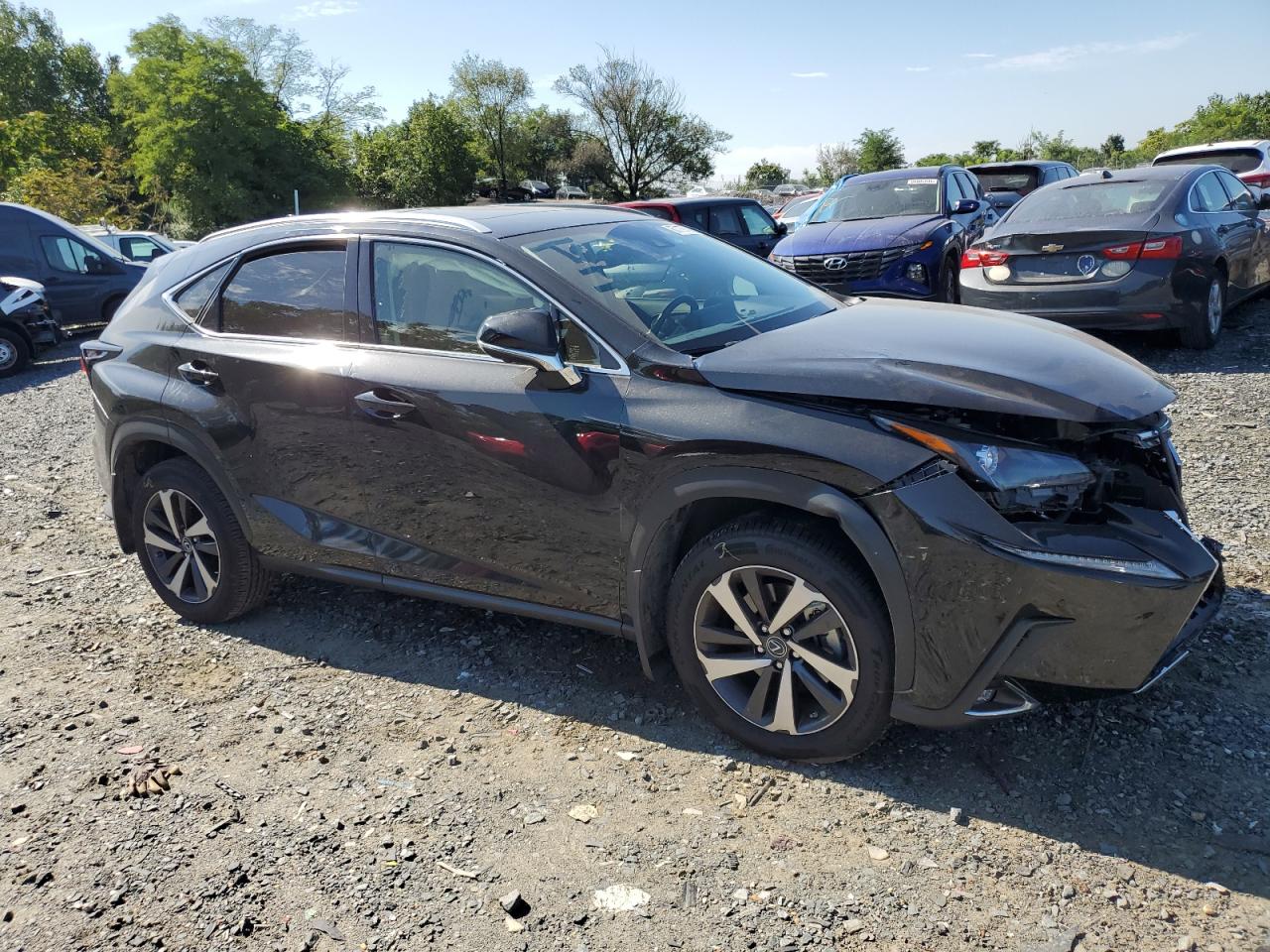 Lot #2981308779 2021 LEXUS NX 300 BAS