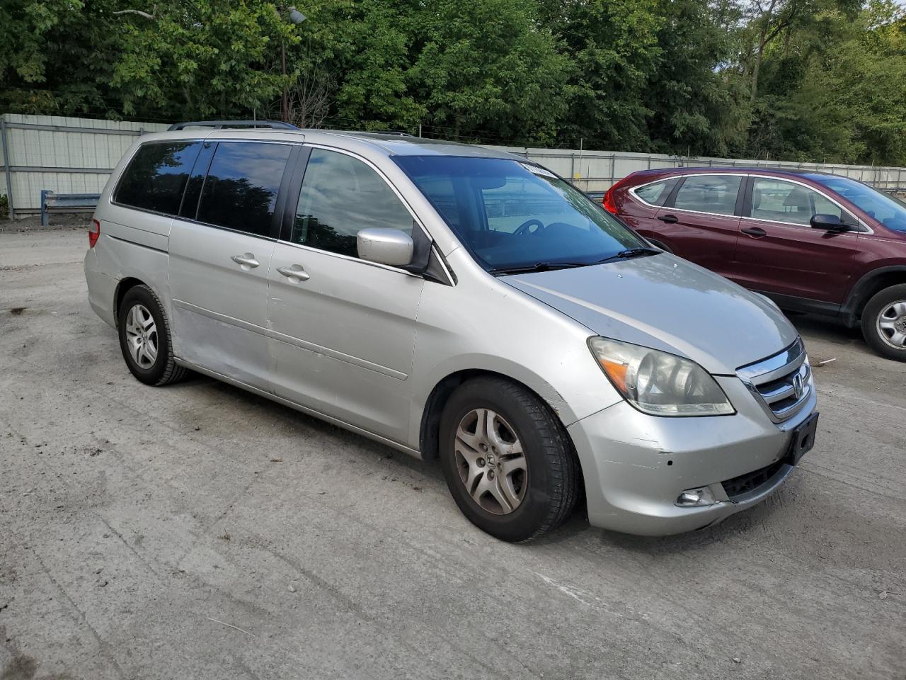 Lot #3034282181 2005 HONDA ODYSSEY TO