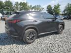 LEXUS NX 250 BAS photo