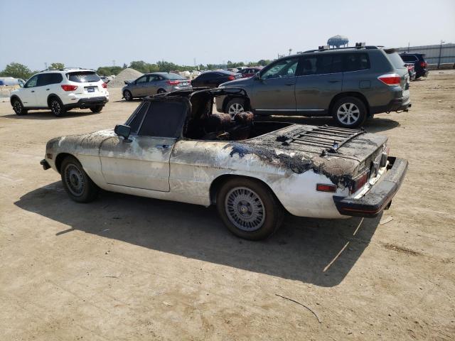 ALFA ROMEO SPIDER 1978 beige   115410002428 photo #3