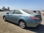 TOYOTA CAMRY BASE photo