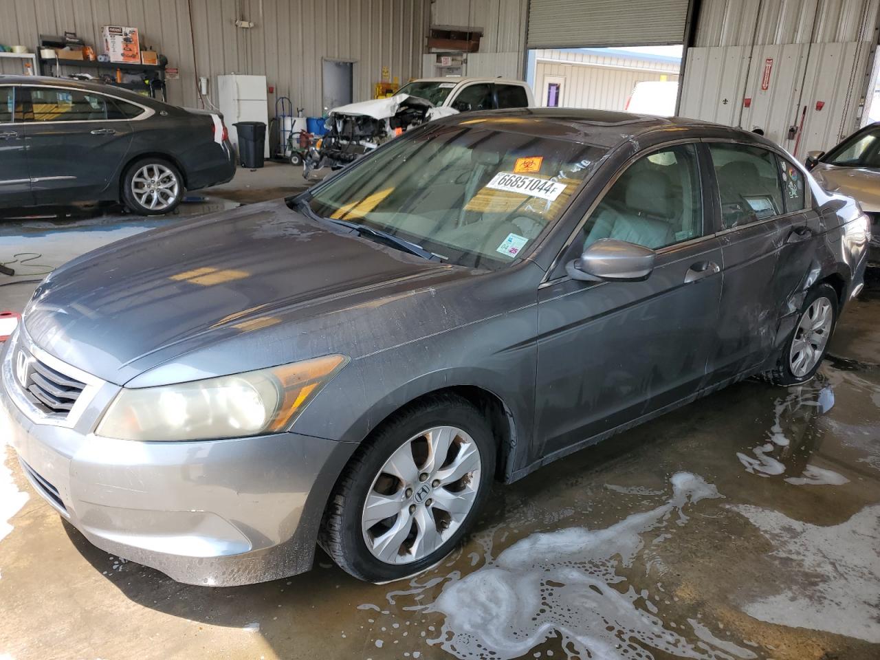 Lot #3025772341 2009 HONDA ACCORD EXL