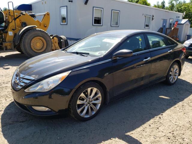 Global Auto Auctions: 2013 HYUNDAI SONATA SE