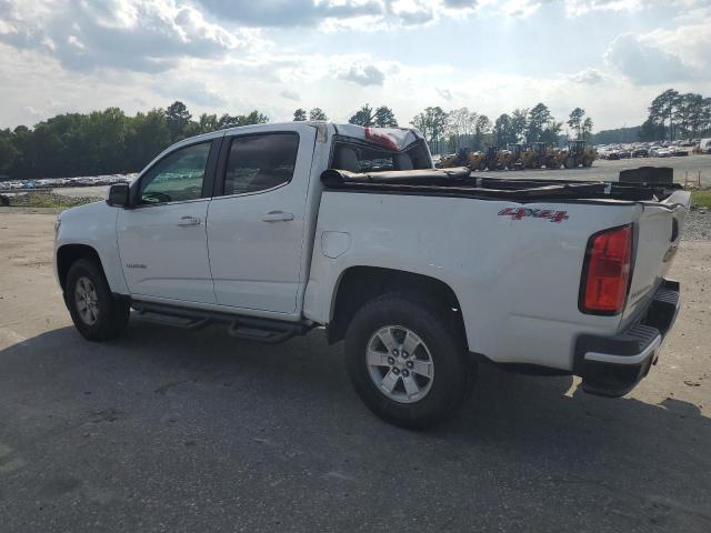 2019 CHEVROLET COLORADO - 1GCGTBEN8K1192027