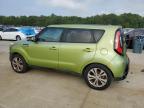 KIA SOUL + photo