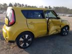 KIA SOUL ! photo