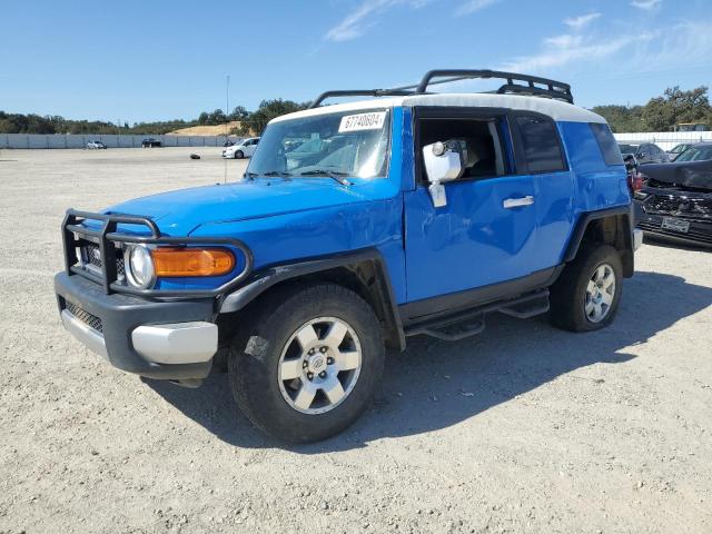 TOYOTA FJ CRUISER 2007 blue  gas JTEBU11F870089604 photo #1