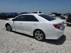 Lot #3025221654 2014 TOYOTA CAMRY L