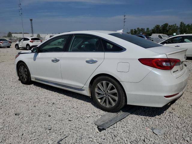 2017 HYUNDAI SONATA SPO - 5NPE34AF9HH592780