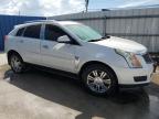 CADILLAC SRX LUXURY photo