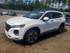 2020 HYUNDAI SANTA FE L - 5NMS53AA8LH301638