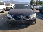 TOYOTA CAMRY BASE photo