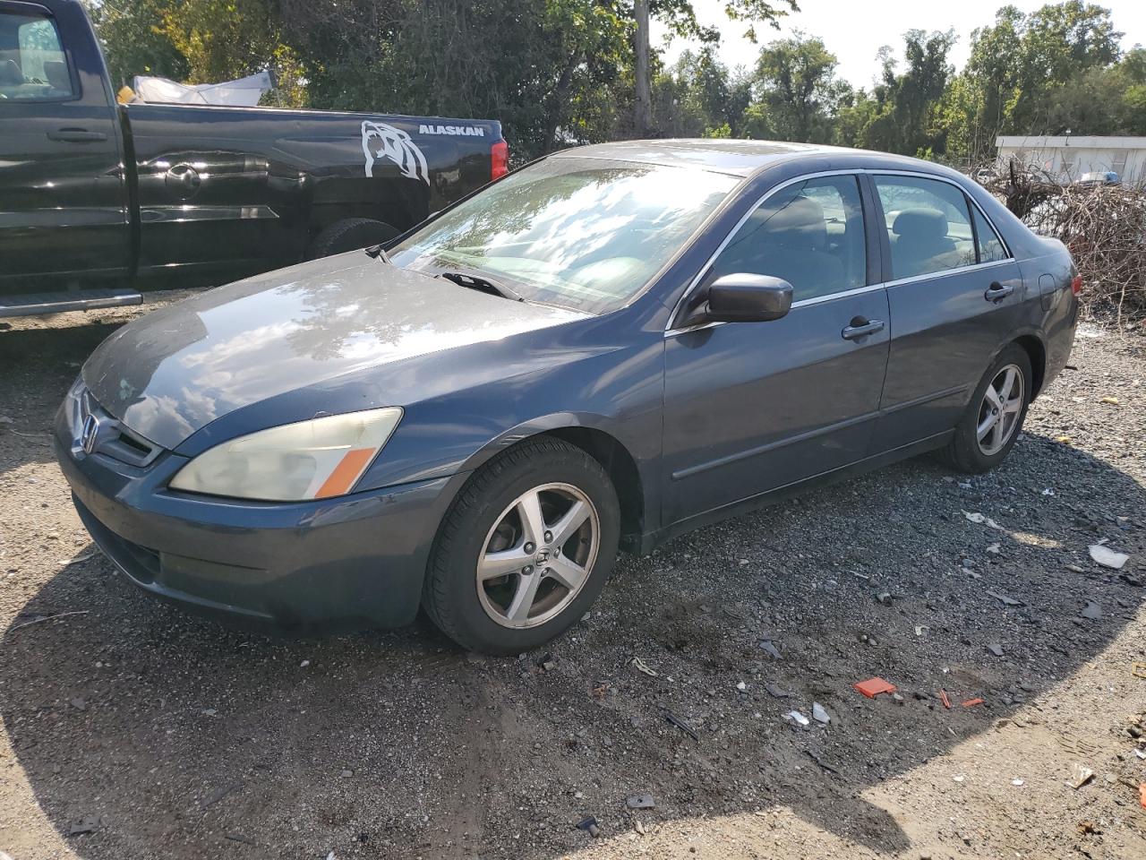 Lot #2826262401 2004 HONDA ACCORD EX