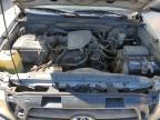 TOYOTA TACOMA ACC photo