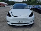 TESLA MODEL Y photo