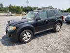 FORD ESCAPE XLT photo