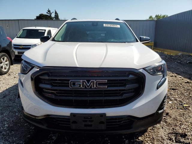 2020 GMC TERRAIN SL 3GKALTEV9LL343354  69289884