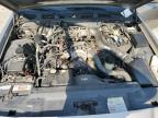 Lot #3025149228 2002 FORD CROWN VICT