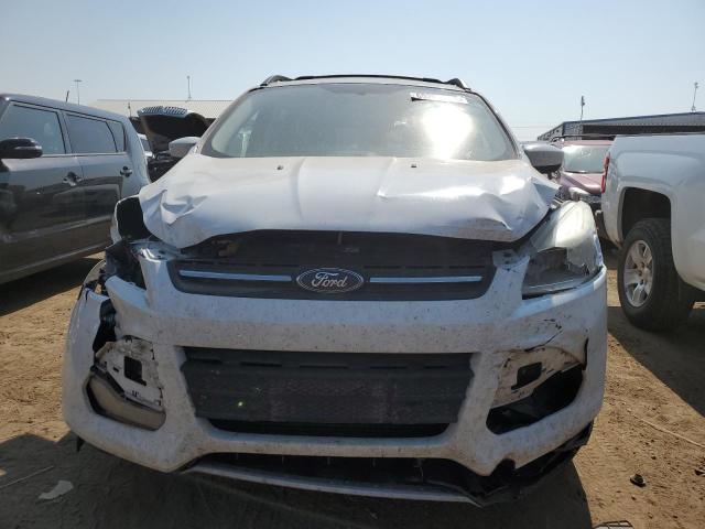 VIN 1FMCU9G96DUB92464 2013 Ford Escape, SE no.5