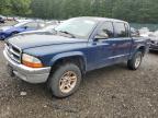 DODGE DAKOTA QUA photo