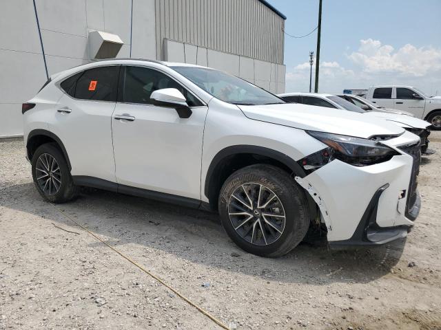 VIN 2T2GDCAZ0RC012021 2024 Lexus NX, 250 Premium no.4